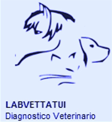 Imagem 5