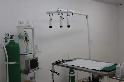 Clínica Veterinária