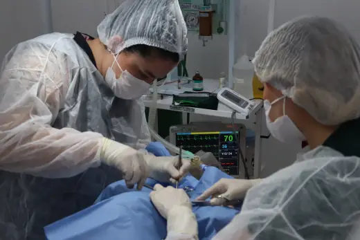 Clínica Veterinária
