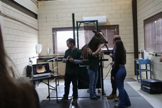 Laboratórios