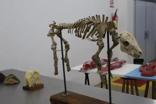 Laboratórios