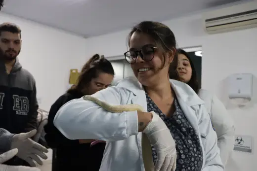 Aulas práticas